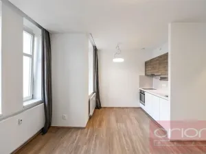 Pronájem bytu 1+kk, Praha - Vinohrady, Lucemburská, 300 m2