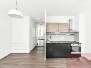 Pronájem bytu 1+kk, Praha - Vinohrady, Lucemburská, 30 m2