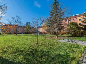 Pronájem bytu 2+1, Prostějov, okres prostějov, Dr. Horáka, 60 m2