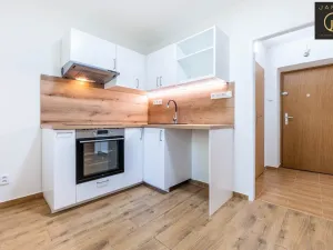 Prodej bytu 1+1, Kladno, Sevastopolská, 30 m2
