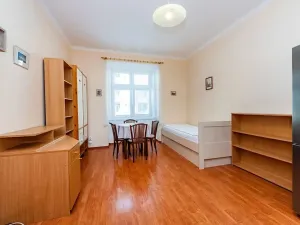 Pronájem bytu 1+kk, Praha - Nusle, Pod pramenem, 24 m2