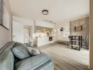 Pronájem bytu 1+kk, Praha - Karlín, U Sluncové, 33 m2