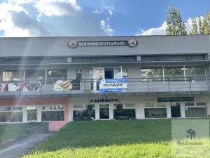 Prodej obchodního prostoru, Ústí nad Labem - Ústí nad Labem-centrum, SNP, 1786 m2
