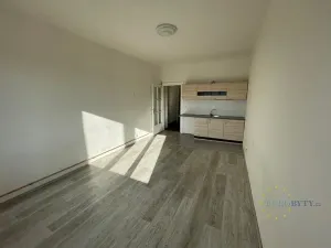 Pronájem bytu 1+kk, Praha - Nusle, V Horkách, 35 m2
