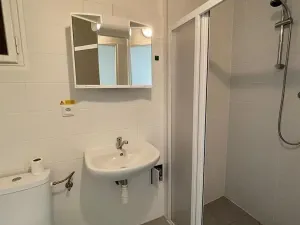 Pronájem bytu 1+kk, Praha - Nusle, V Horkách, 35 m2