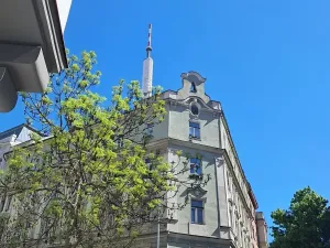Pronájem obchodního prostoru, Praha - Žižkov, Víta Nejedlého, 71 m2
