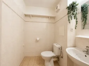 Pronájem bytu 1+1, Luštěnice - Zelená, 31 m2