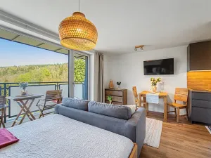 Prodej bytu 1+kk, Janov nad Nisou, 27 m2