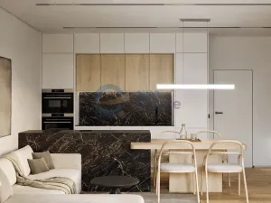 Prodej bytu 2+kk, Opava, Husova, 56 m2