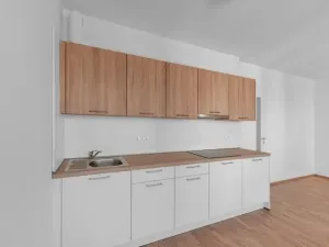 Pronájem bytu 1+kk, Praha - Hloubětín, Waltariho, 38 m2