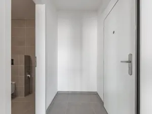 Pronájem bytu 1+kk, Praha - Hloubětín, Waltariho, 38 m2