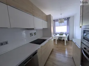 Prodej bytu 3+1, Teplice - Prosetice, Pod hvězdárnou, 74 m2