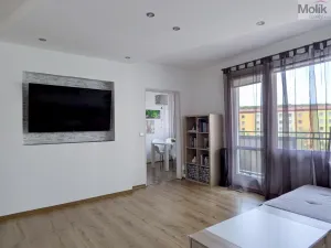 Prodej bytu 3+1, Teplice - Prosetice, Pod hvězdárnou, 74 m2