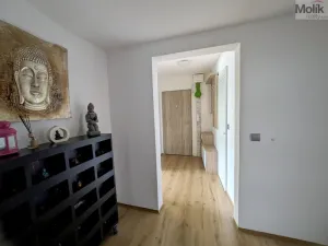 Prodej bytu 3+1, Teplice - Prosetice, Pod hvězdárnou, 74 m2