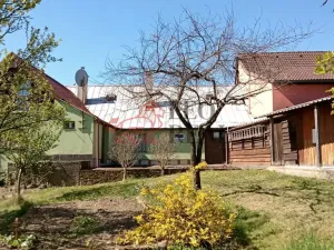 Prodej rodinného domu, Březová, 266 m2