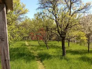 Prodej rodinného domu, Březová, 266 m2