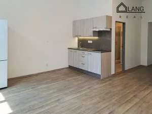 Pronájem bytu 1+kk, Brno, Koliště, 31 m2