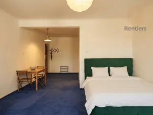 Pronájem bytu 1+kk, Praha - Vinohrady, Přemyslovská, 41 m2