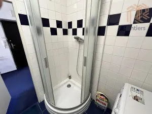 Pronájem bytu 1+kk, Praha - Vinohrady, Přemyslovská, 41 m2