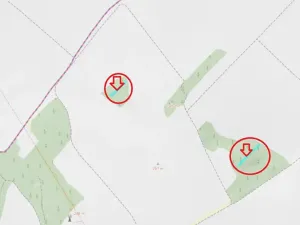 Prodej podílu lesa, Skalice, 1312 m2