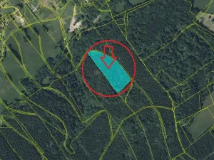 Prodej lesa, Liberec, 14111 m2