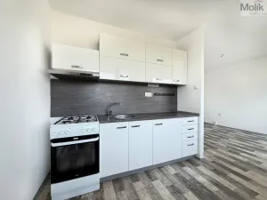 Pronájem bytu 2+1, Osek, Hrdlovská, 63 m2