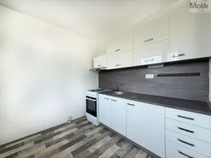 Pronájem bytu 2+1, Osek, Hrdlovská, 63 m2