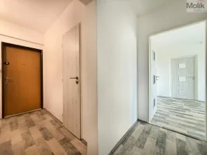 Pronájem bytu 2+1, Osek, Hrdlovská, 63 m2
