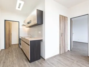 Prodej bytu 2+1, Ryžoviště, Tovární, 52 m2