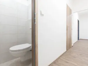 Prodej bytu 2+1, Ryžoviště, Tovární, 52 m2