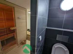 Prodej rodinného domu, Mladá Boleslav - Čejetice, Nezvalova, 251 m2