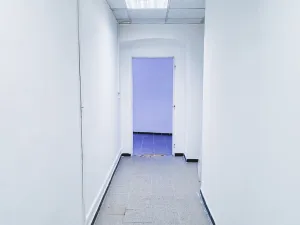 Pronájem obchodního prostoru, Plzeň, Zborovská, 53 m2