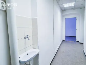 Pronájem obchodního prostoru, Plzeň, Zborovská, 53 m2