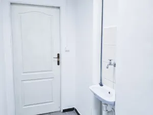 Pronájem obchodního prostoru, Plzeň, Zborovská, 53 m2