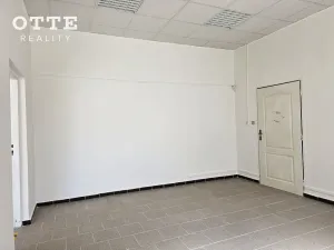 Pronájem obchodního prostoru, Plzeň, Zborovská, 53 m2