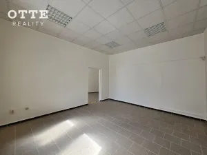 Pronájem obchodního prostoru, Plzeň, Zborovská, 53 m2