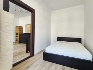 Pronájem bytu 2+kk, České Budějovice, Krajinská, 50 m2