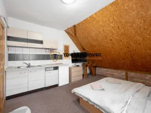 Prodej ubytování, Nedašov, 200 m2