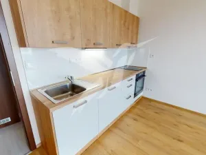 Pronájem bytu 2+kk, Plzeň, Poděbradova, 44 m2