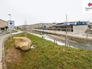 Pronájem bytu 2+kk, Brno, Renneská třída, 44 m2