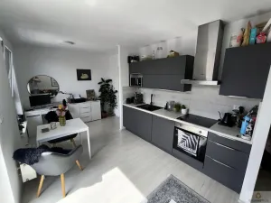 Pronájem bytu 1+kk, Olomouc, Eduarda Hamburgera, 32 m2