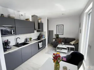 Pronájem bytu 1+kk, Olomouc, Eduarda Hamburgera, 32 m2