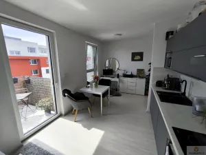 Pronájem bytu 1+kk, Olomouc, Eduarda Hamburgera, 32 m2