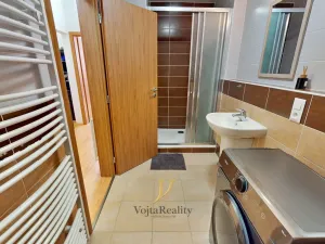 Pronájem bytu 1+kk, Olomouc, Wolkerova, 31 m2
