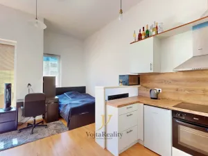Pronájem bytu 1+kk, Olomouc, Wolkerova, 31 m2
