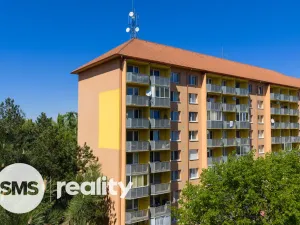 Prodej bytu 1+1, Hodonín, Brandlova, 41 m2