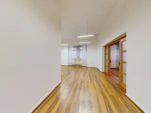 Pronájem obchodního prostoru, Plzeň, Dominikánská, 60 m2
