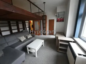 Pronájem bytu 1+kk, Ústí nad Labem - Klíše, Palachova, 40 m2