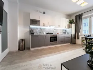 Pronájem bytu 2+kk, Brno, Burešova, 53 m2