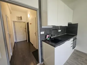 Pronájem bytu 1+kk, Praha - Nusle, V zálomu, 28 m2